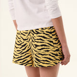 Zebra Shorts